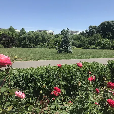 Ghica Tei By Acme Rent