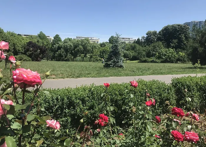 Ghica Tei By Acme Rent